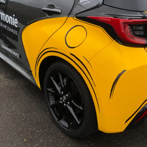High-End-Fahrzeugfolierung-im-Cartoon-Style High-End-Fahrzeugfolierung-im-Cartoon-Style