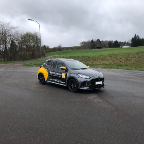IMG_9169_0015_Generatives Füllen 4 Wer etwas Besonderes sucht und seine Marke mit einem Paukenschlag auf die Straße bringen möchte, kommt an diesen neuen Design-Konzepten nicht vorbei. Das Cartoon-Car zeigt eindrucksvoll: Werbung darf – und muss – Spaß machen, um im Gedächtnis zu bleiben.